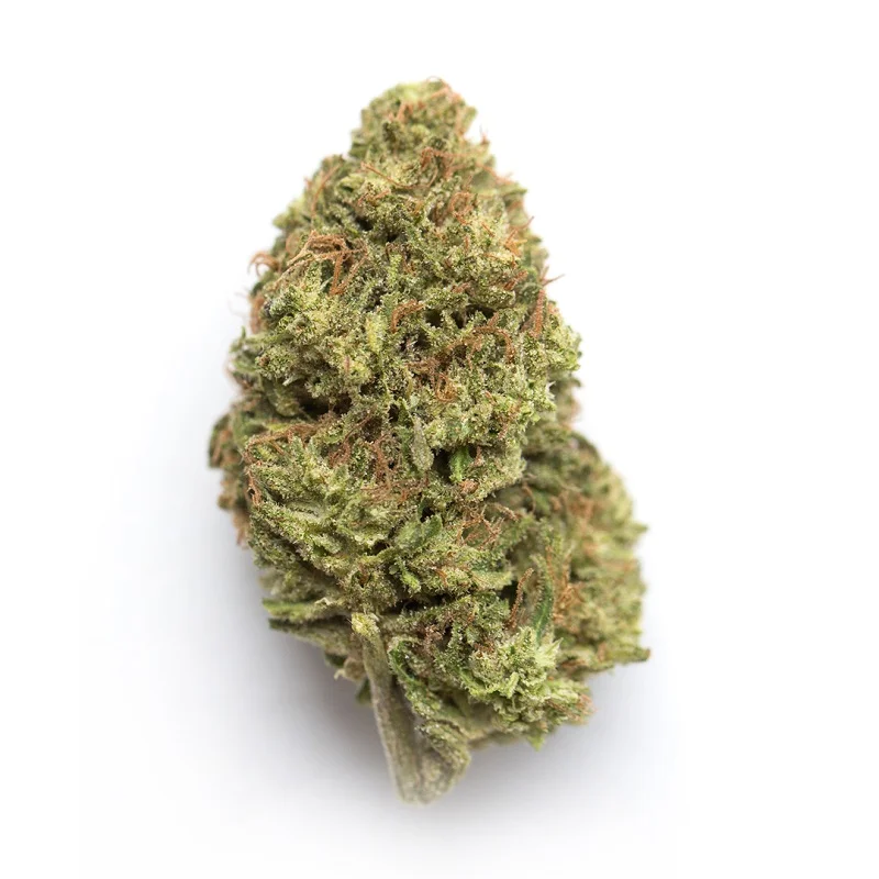 Blueberry Dream strain