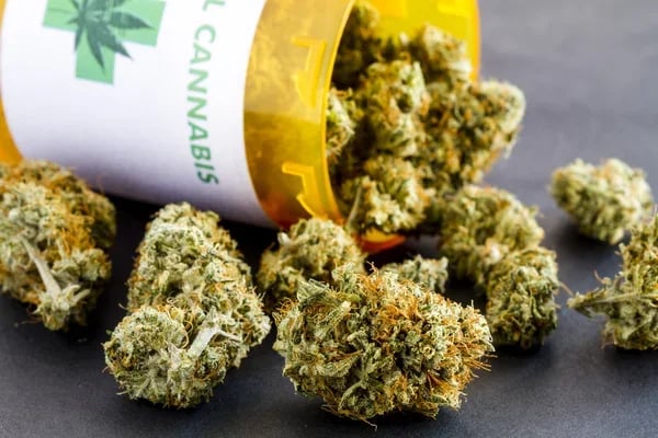 Where to Buy Good Weed