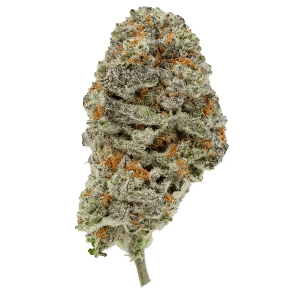 Durban Poison strain