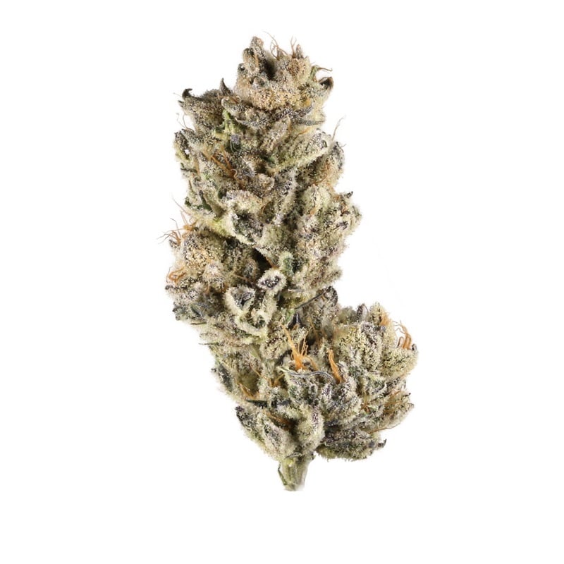 Black Cherry Punch