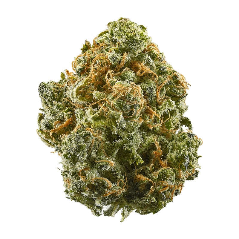 Blue Cheese strain