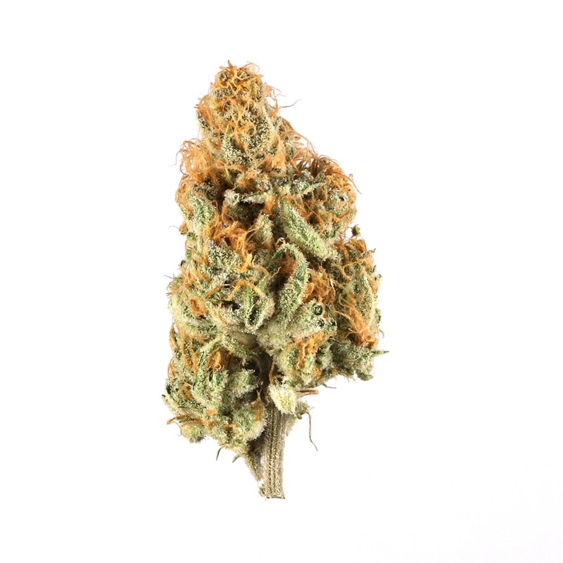 Cuban Linx strain