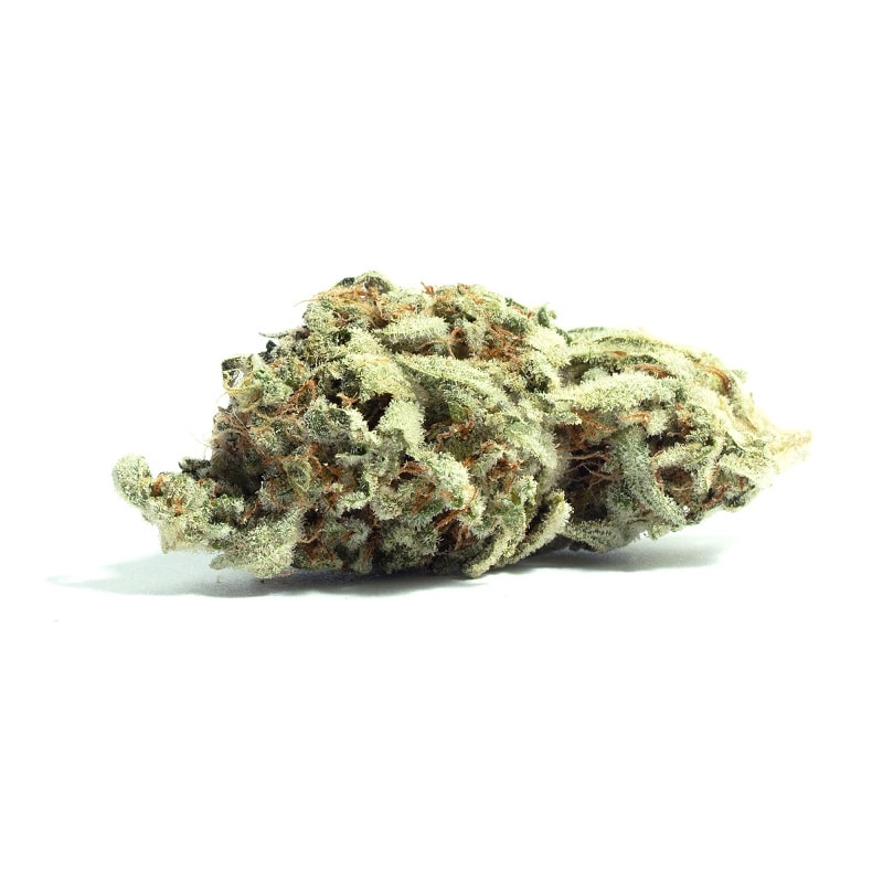 Dank Schrader strain