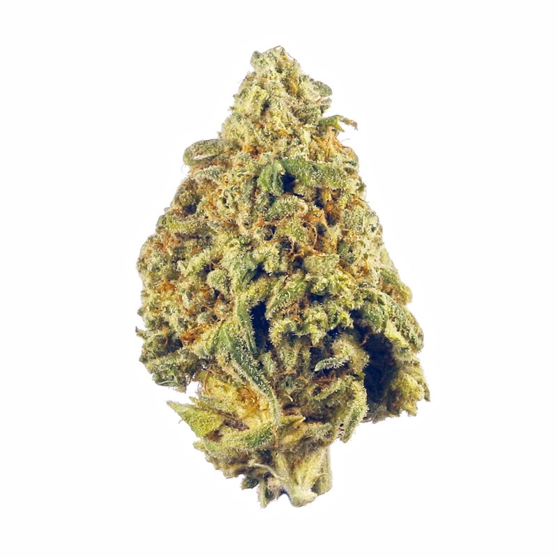 Donkey Butter strain
