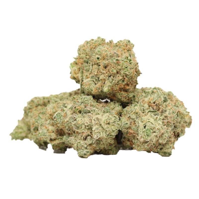 Gelato strain