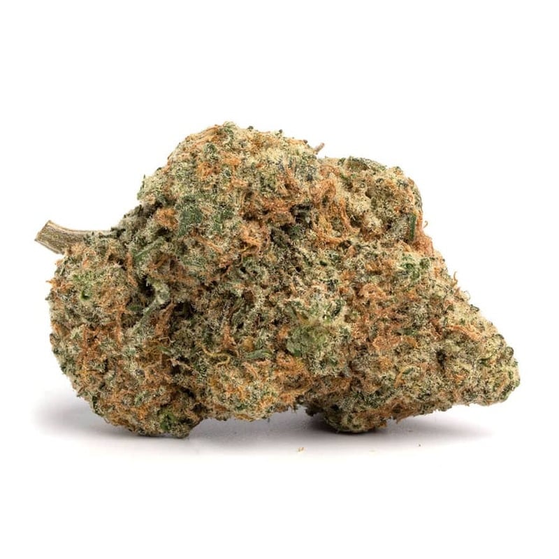 Girl Scout Cookies