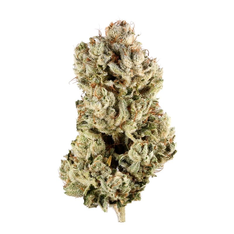 Gorilla Glue 4