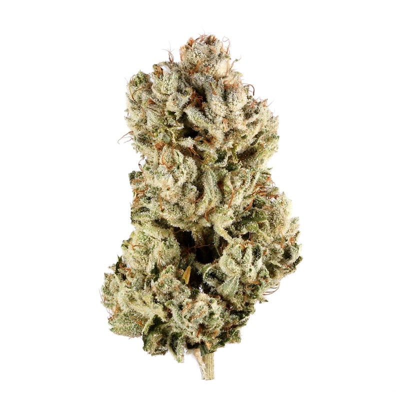 Gorilla Glue 4 strain