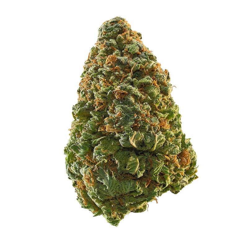 Green Crack strain