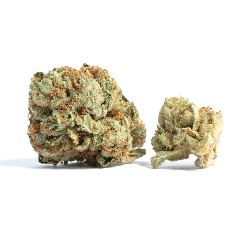Island Pink Kush