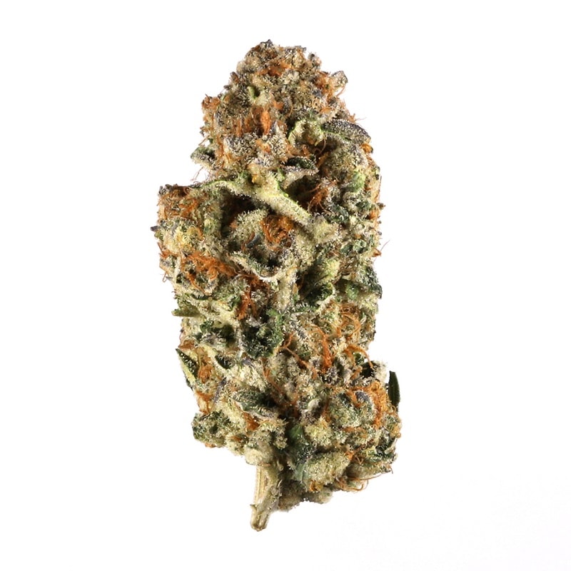 Jean Guy strain