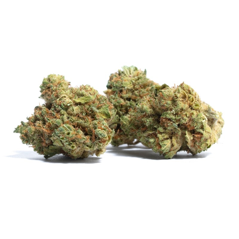 Mango Haze strain