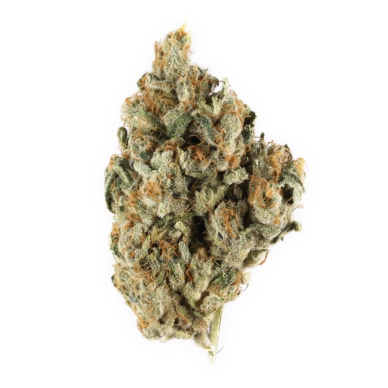 Mike Tyson strain
