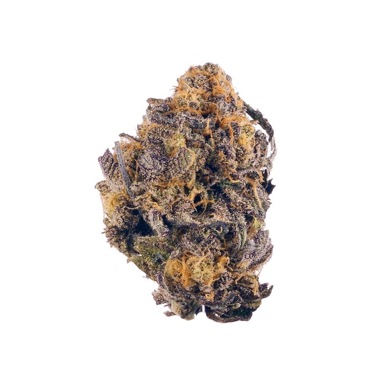Purple Kush strain