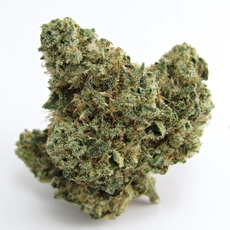Slapz strain