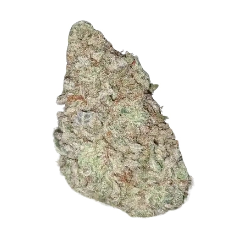 White Monkey strain