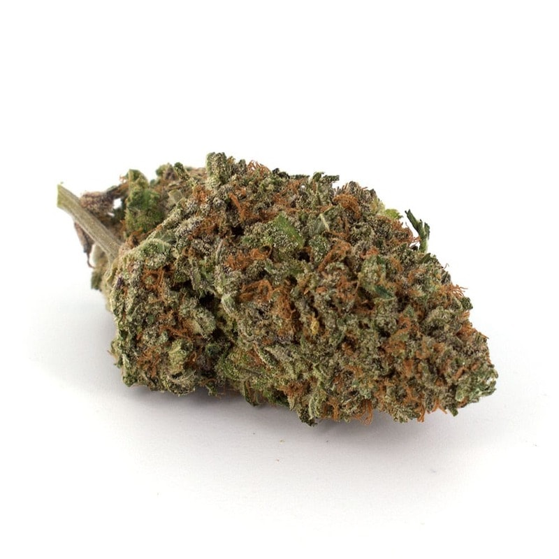 White Widow strain